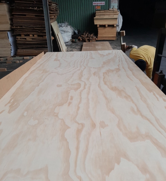 ván ép số lượng lớn giá tốt